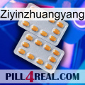 Ziyinzhuangyang cialis4